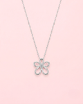 Bloom Daisy