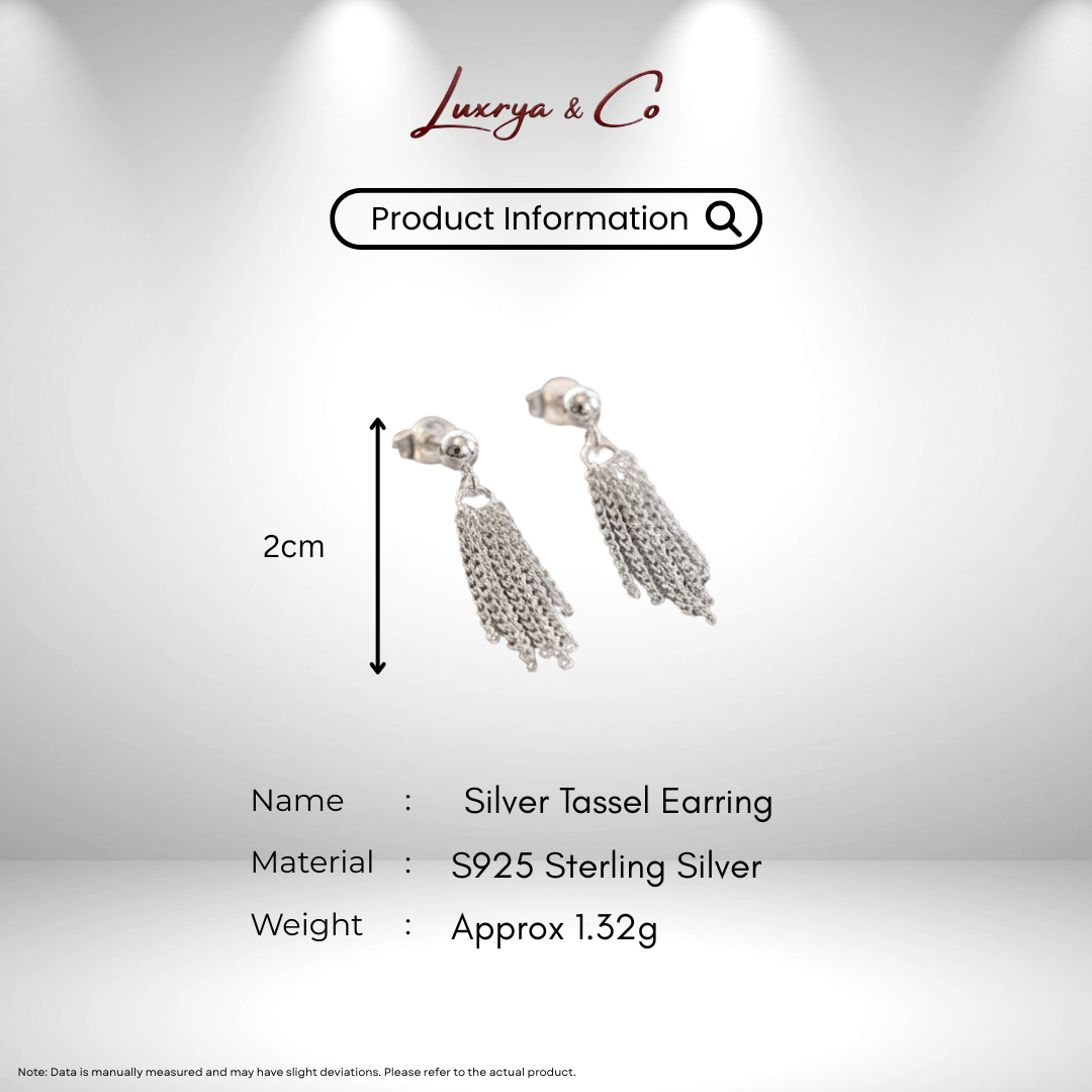 Silver Tassel | Earrings